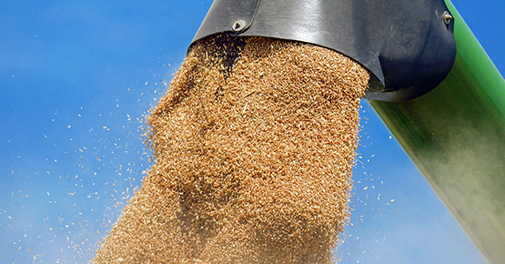 Фумигация продукции